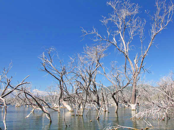 croisière Caraibi : Antille, Isole Vergini, Repubblica Dominicana